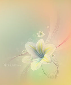 Meet your Posher, Jane